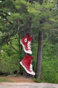 Někdo si v lese zapomněl konversky.