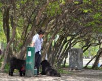 Pítko pro psy. Fakt.