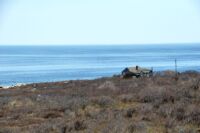 Skalnaté pobřeží klidného Atlantiku rozhodně stálo za chvíli pozorování, poslechu a vnímání vůbec.