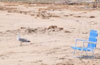 Parker River National Wildlife Refuge