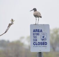 Parker River National Wildlife Refuge