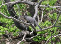 Parker River National Wildlife Refuge