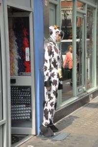 V Soho narazíte na leccos.