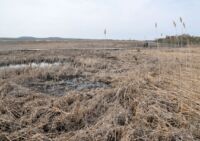 Parker River National Wildlife Refuge