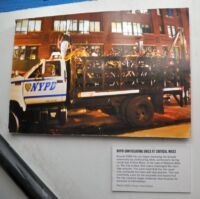 Neworská policie zabavovala na cyklojízdách kola.