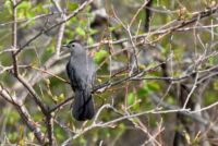 Parker River National Wildlife Refuge