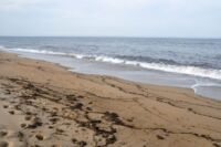 Parker River National Wildlife Refuge