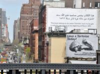 Výhled z High Line.