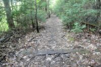 Stezka Track&Tower vede zčásti po tělese někdejší železniční trati.