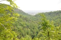 Escarpment - stěna z vápence, pískovce a jílovité břidlice.